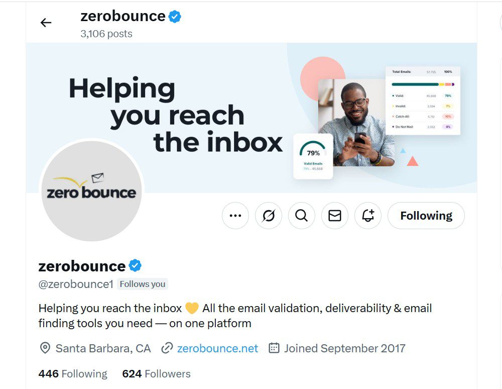 Screenshot of ZeroBounce X profile showinh the blue checkmark account
